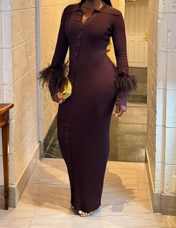 Curvy Brown Ladies Dress