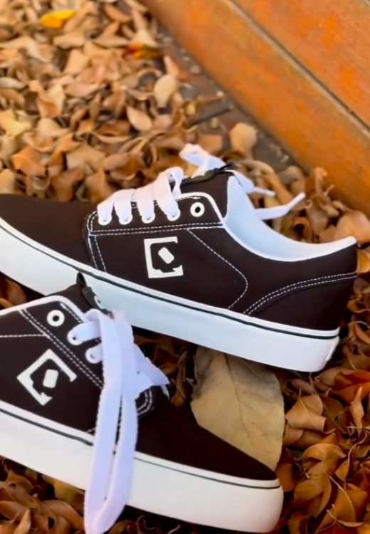 Men's Brown High Quality Printed Shoes