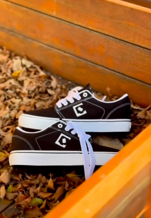 Men's Brown High Quality Printed Shoes