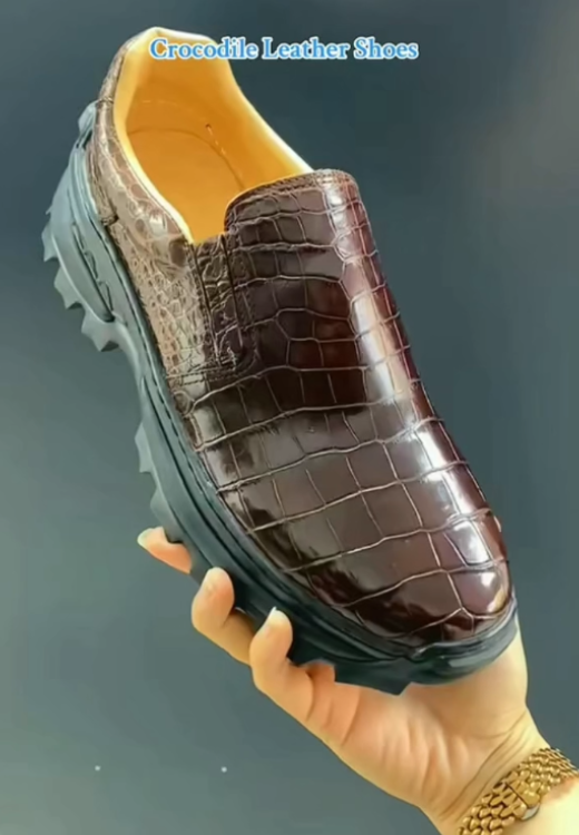 Crocodile casual leather shoes