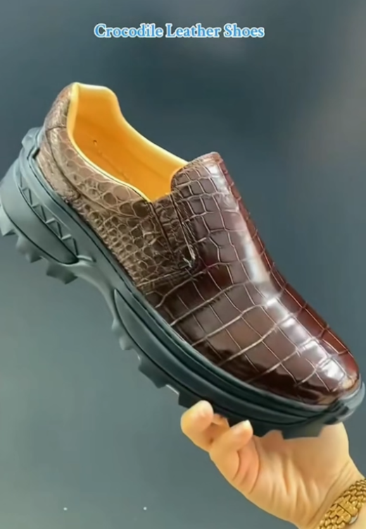 Crocodile casual leather shoes